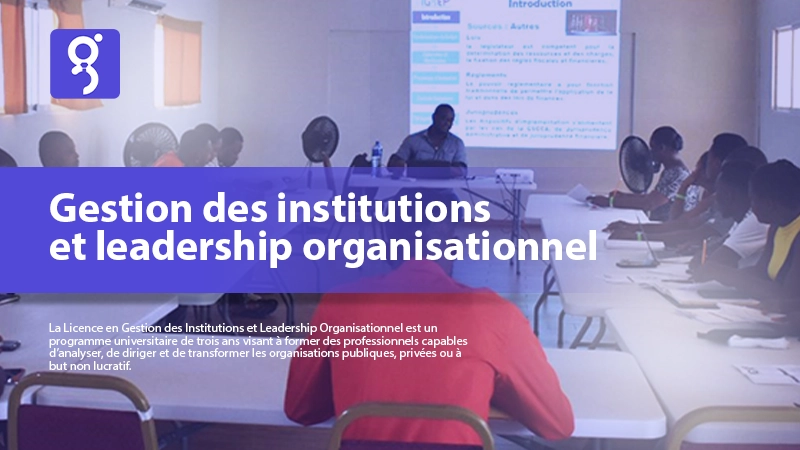 Gestion des institutions et leadership organisationnel